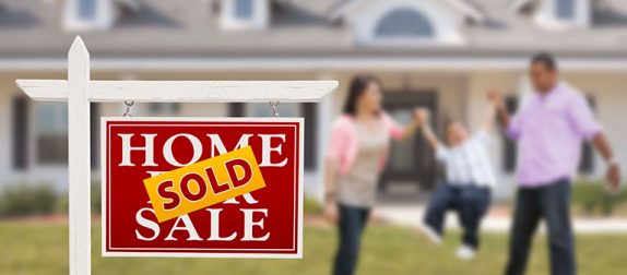 The New Home Sales Professional
